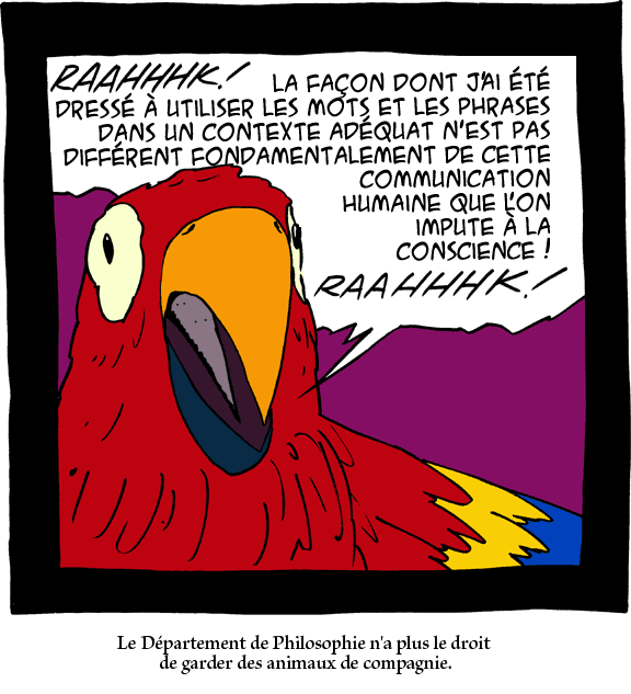 perroquet philosophe