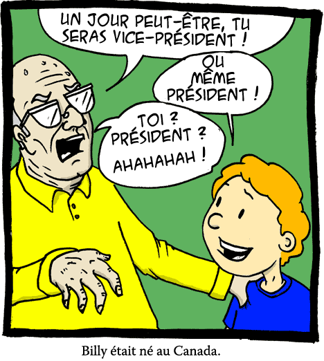 le vice-président