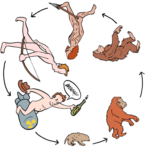le cycle de l'évolution