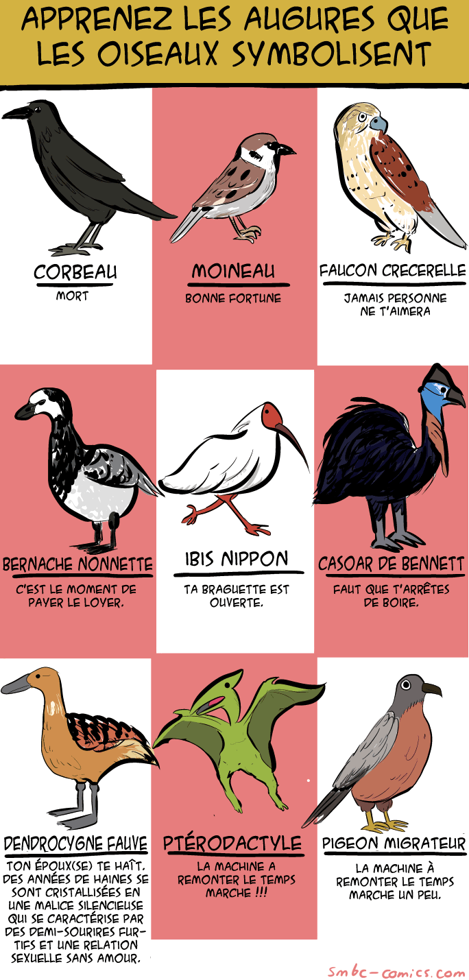 connaissez vos oiseaux